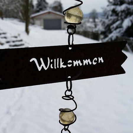 Ferienhaus Sonnenblick Entspannung Mit Sauna Kamin Und Balkon Зоннеберг Экстерьер фото