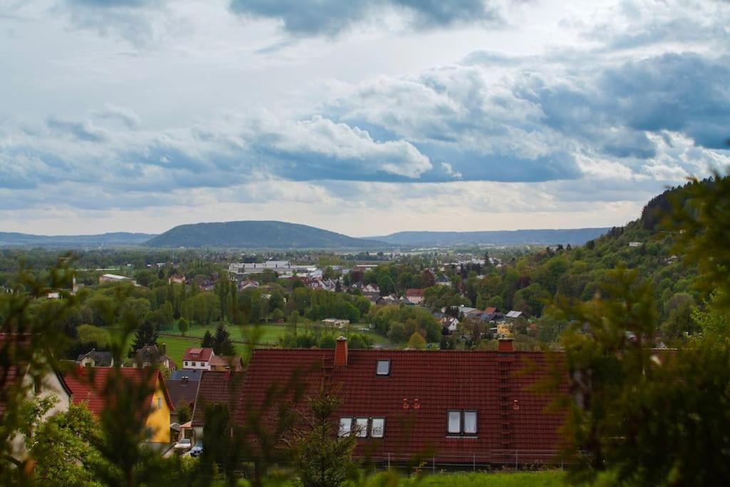 Ferienhaus Sonnenblick Entspannung Mit Sauna Kamin Und Balkon Зоннеберг Экстерьер фото