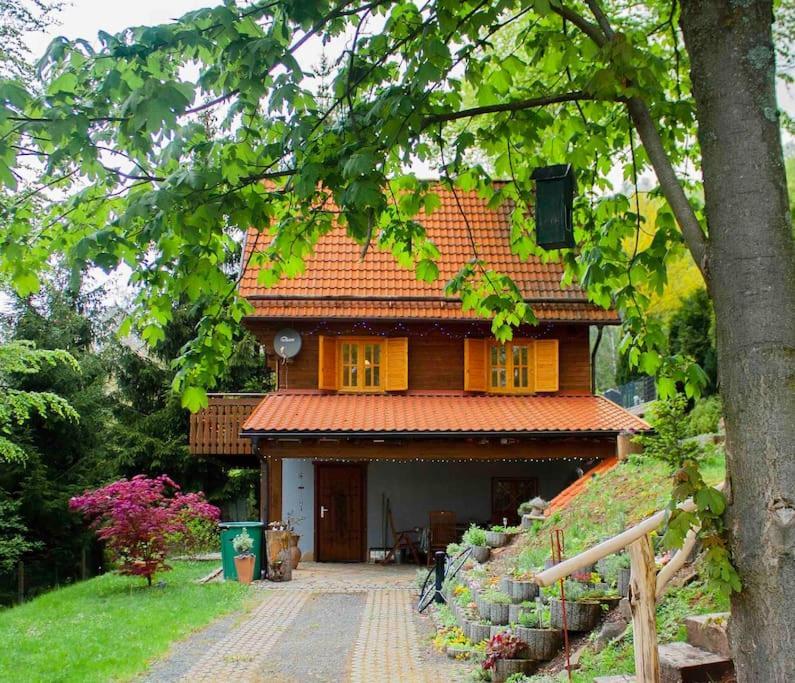 Ferienhaus Sonnenblick Entspannung Mit Sauna Kamin Und Balkon Зоннеберг Экстерьер фото