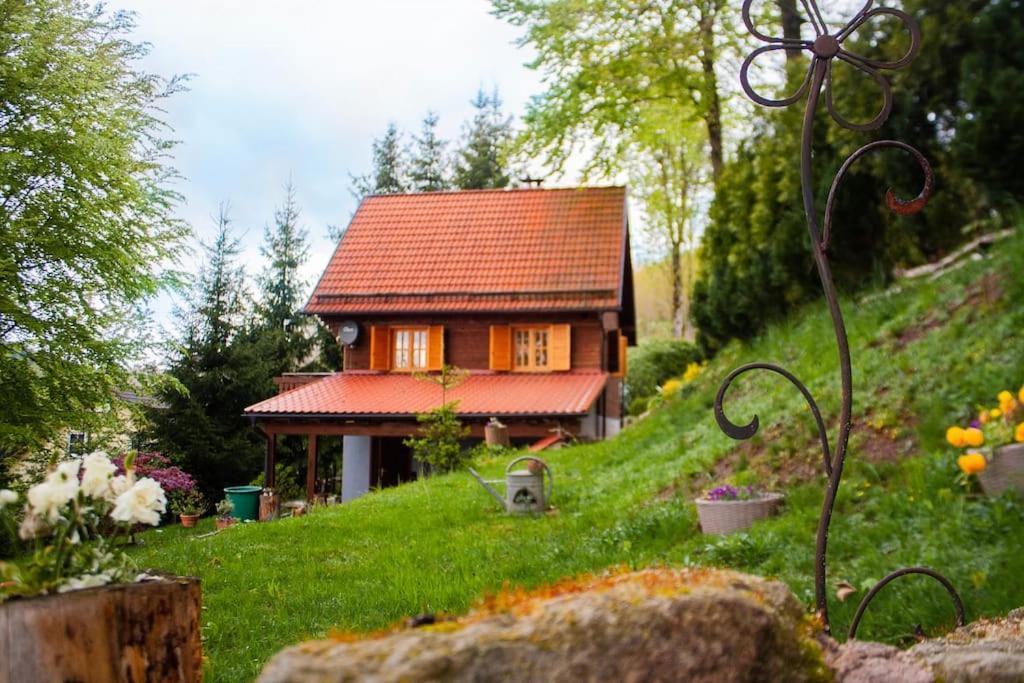 Ferienhaus Sonnenblick Entspannung Mit Sauna Kamin Und Balkon Зоннеберг Экстерьер фото